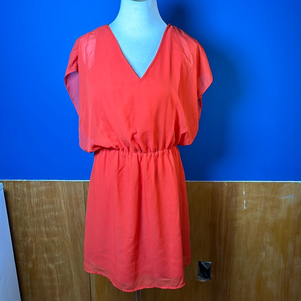 Olive & Oak dress
